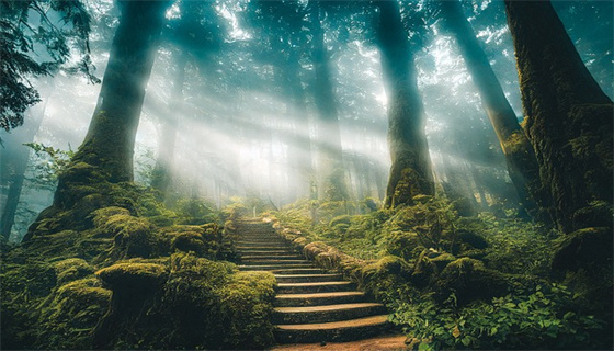 城市燃?xì)獍踩芾硪?guī)定對(duì)居民生活有何影響？