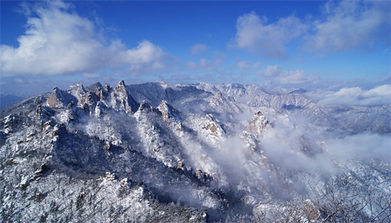 風力發(fā)電場安全規(guī)程的管理現狀？