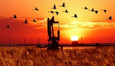 勝利油田啟動井控及石油工程HSE大檢查