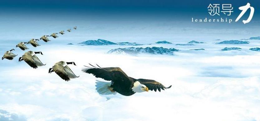 領(lǐng)導(dǎo)力的界定及表現(xiàn)形式淺述 領(lǐng)導(dǎo)力的界定及表現(xiàn)形式淺述