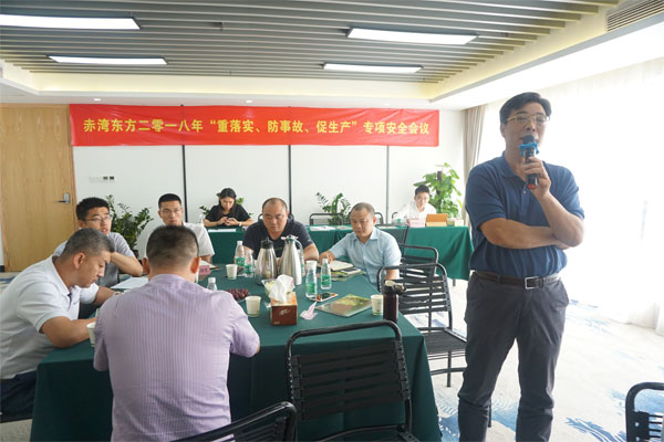 赤灣東方董事長(zhǎng)秦總做總結(jié)性發(fā)言