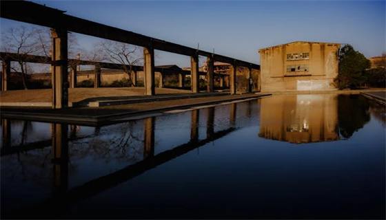 賽為安全 (21).jpg 賽為安全 (21).jpg